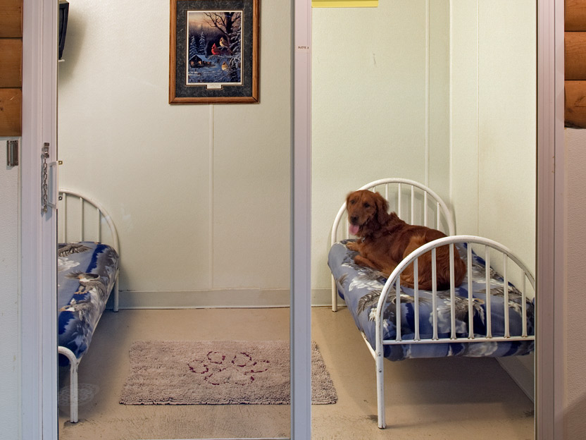 16 Northland Pet Lodge